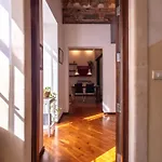 Zagara Luxury Катания