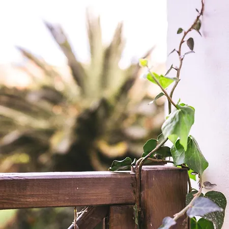 Zagara Luxury Lejlighed *