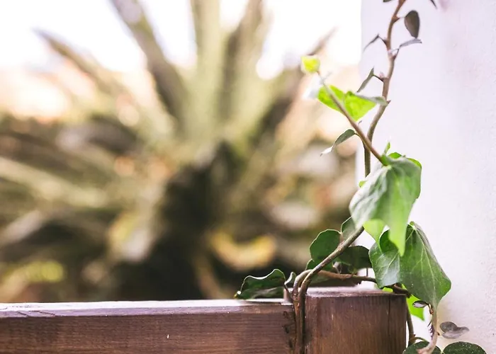 Zagara Luxury Apartamento *